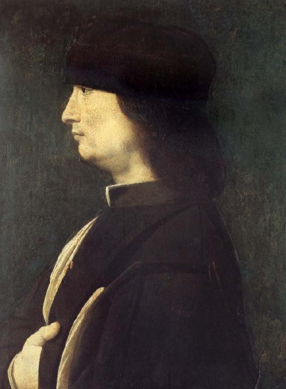 BOLTRAFFIO, Giovanni Antonio Portrait of a Gentleman oil painting image